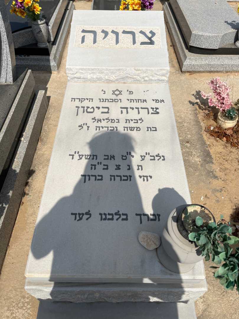 קברו של צרויה ביטון