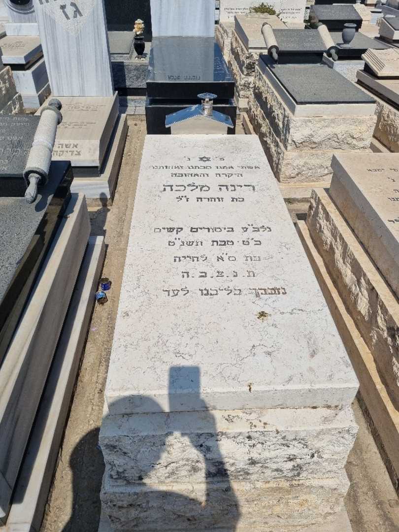 קברו של רנה מלכה