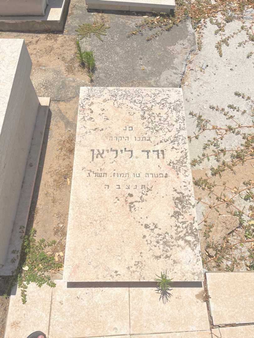 קברו של ליליאן ורד