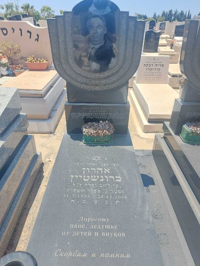 קברו של אהרון ברונשטיין. תמונה 2
