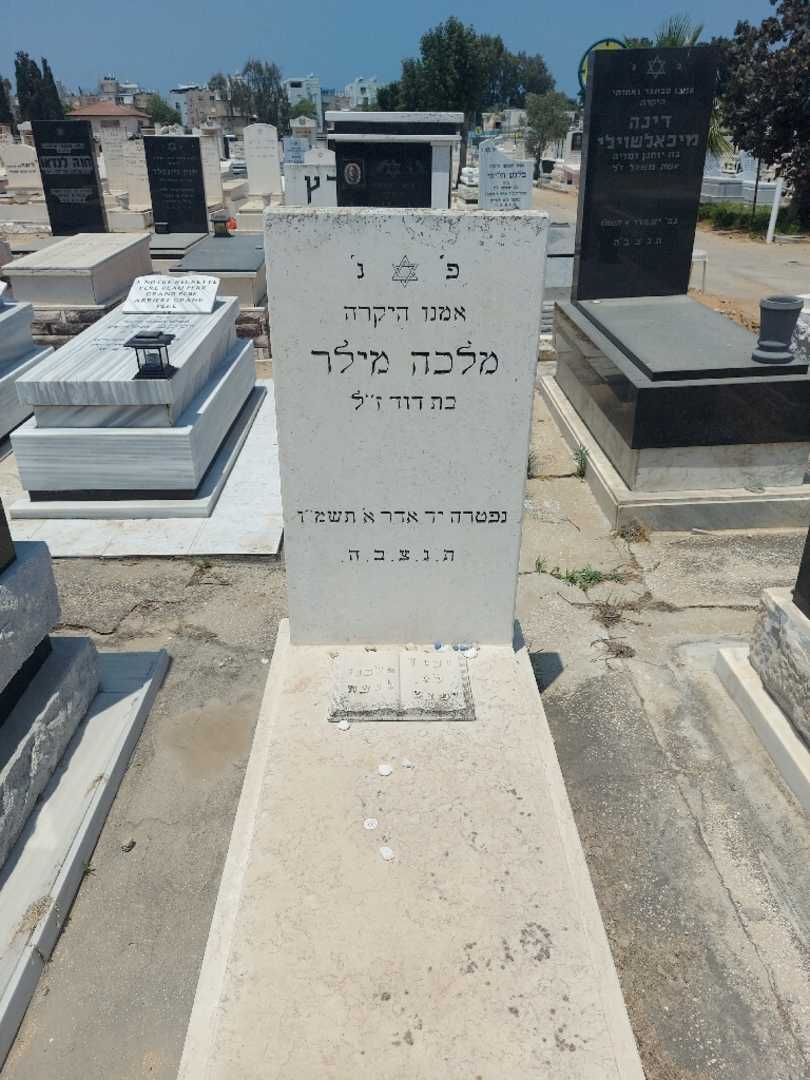 קברו של מלכה מילר