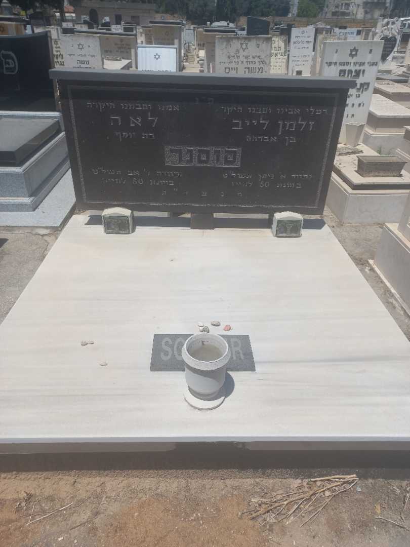 קברו של לאה סוסנר. תמונה 1