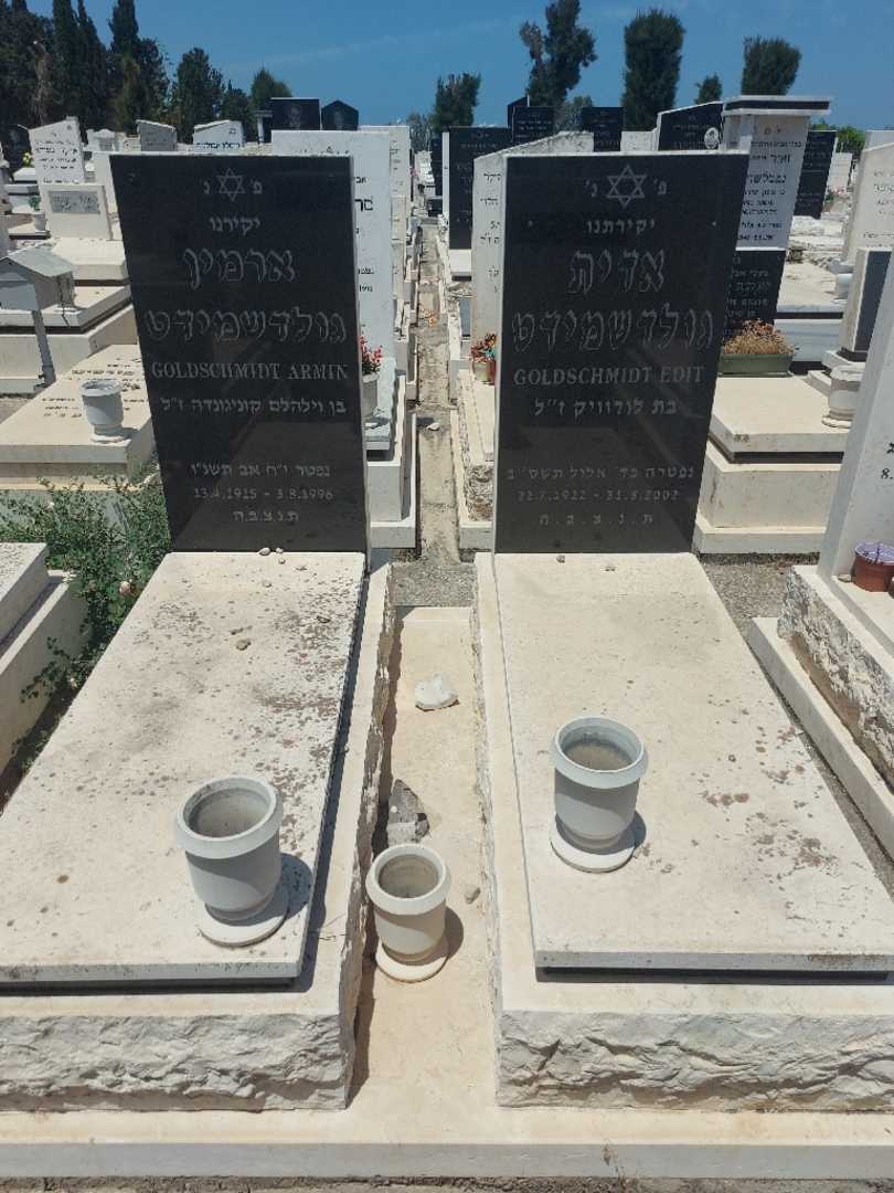 קברו של ארמין גולדשמידט. תמונה 1