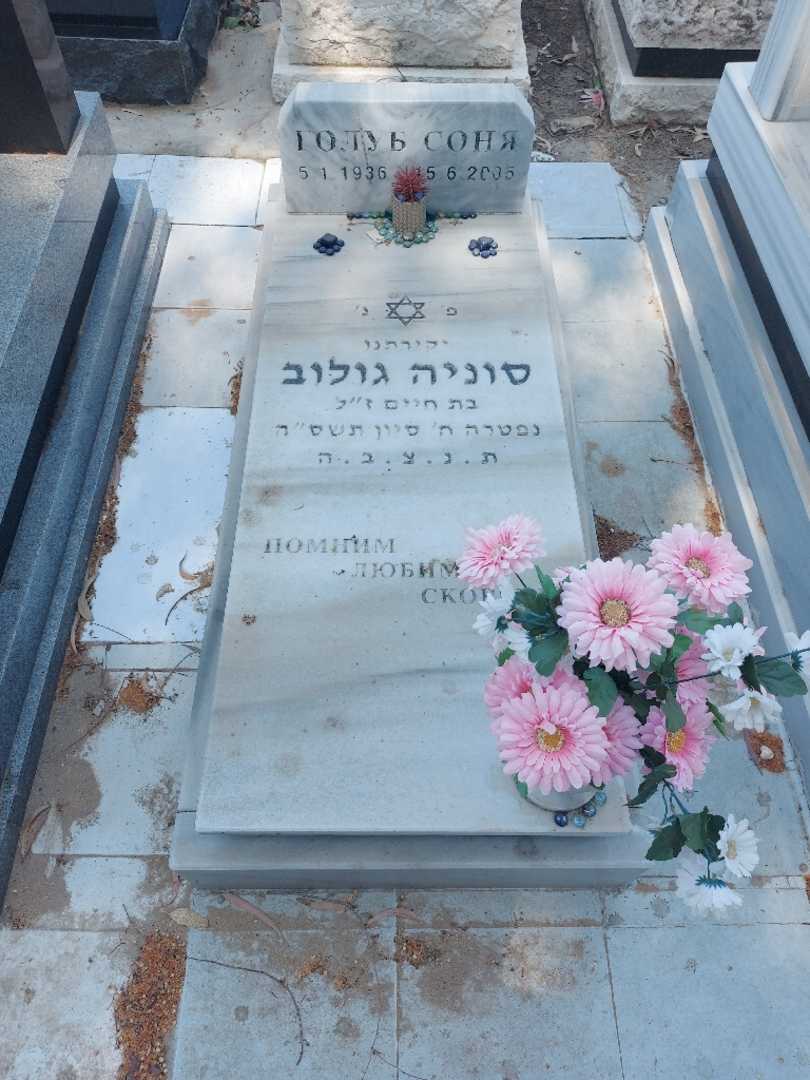 קברו של סופיה גולוב