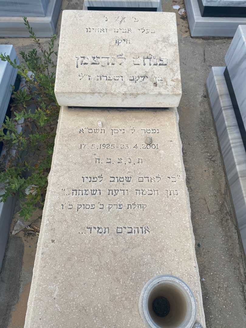 קברו של פנחס לנדצמן. תמונה 2