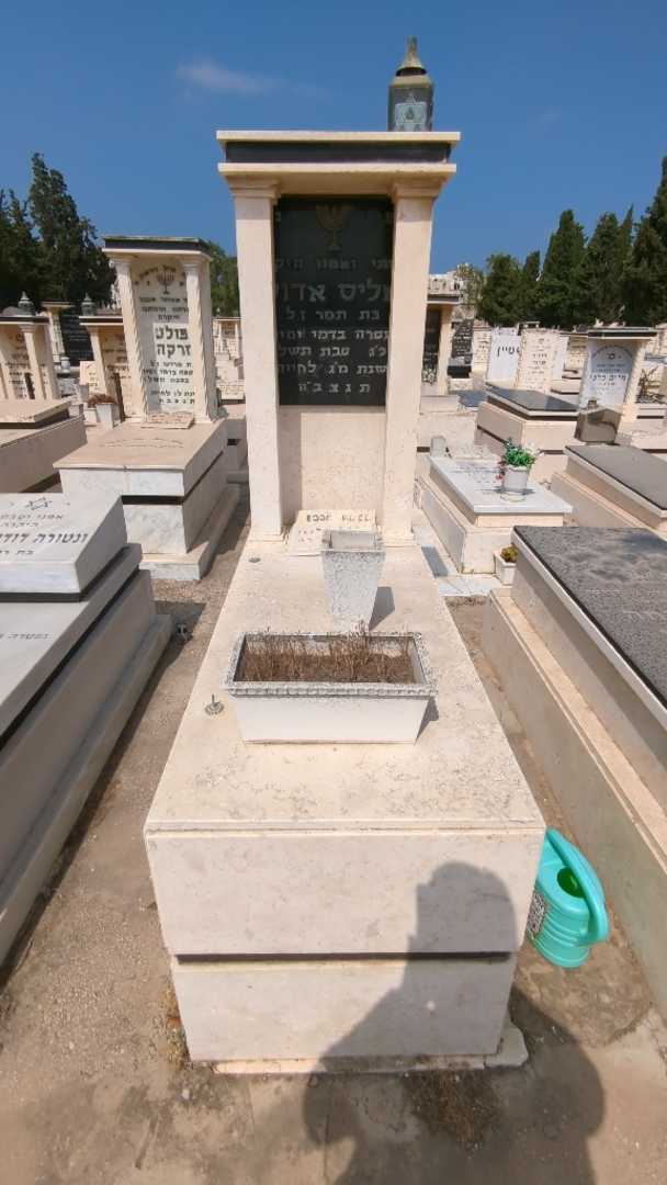 קברו של אליס אדוק. תמונה 2