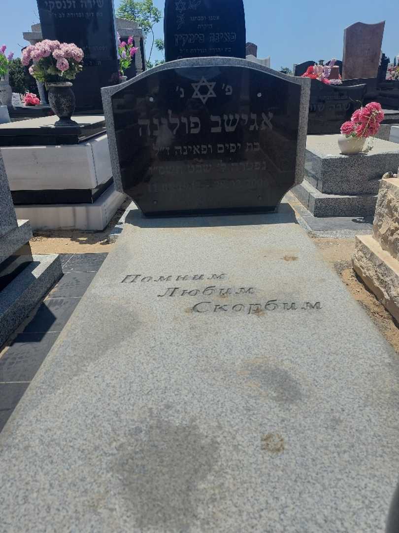 קברו של פולינה אגישוב