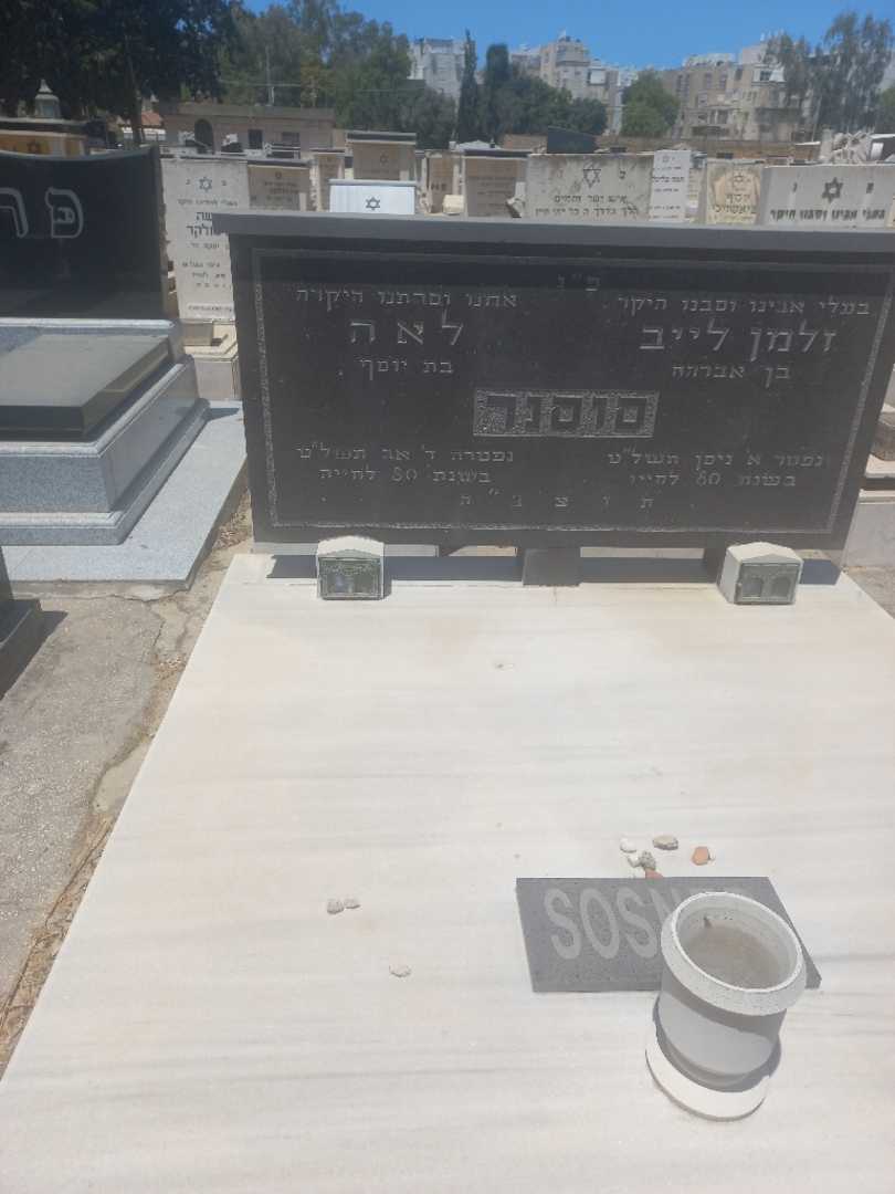 קברו של לאה סוסנר. תמונה 2