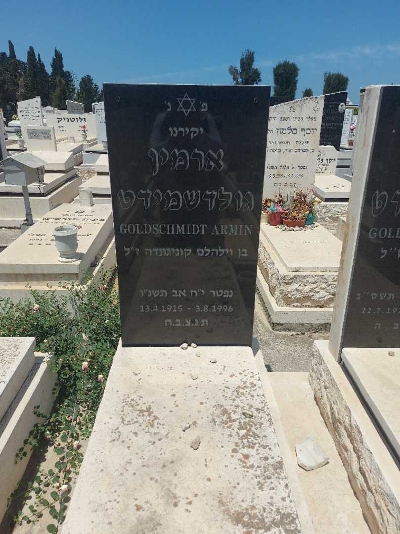 קברו של ארמין גולדשמידט. תמונה 2