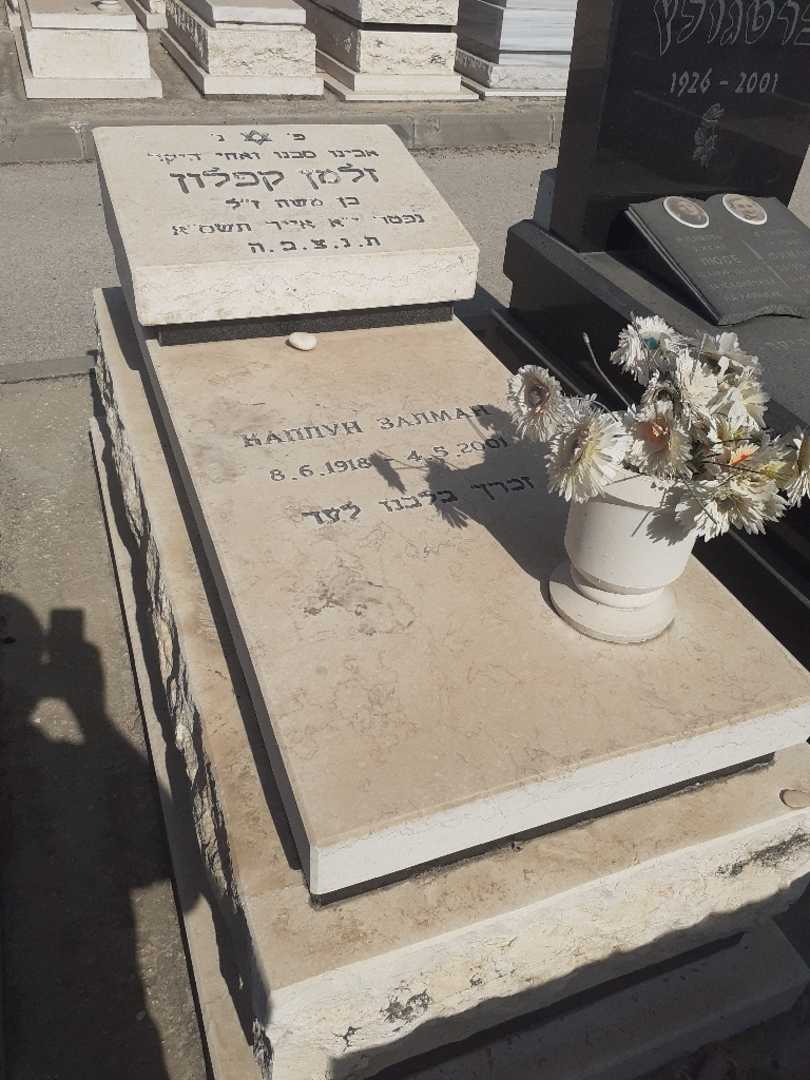 קברו של זלמן קפלון