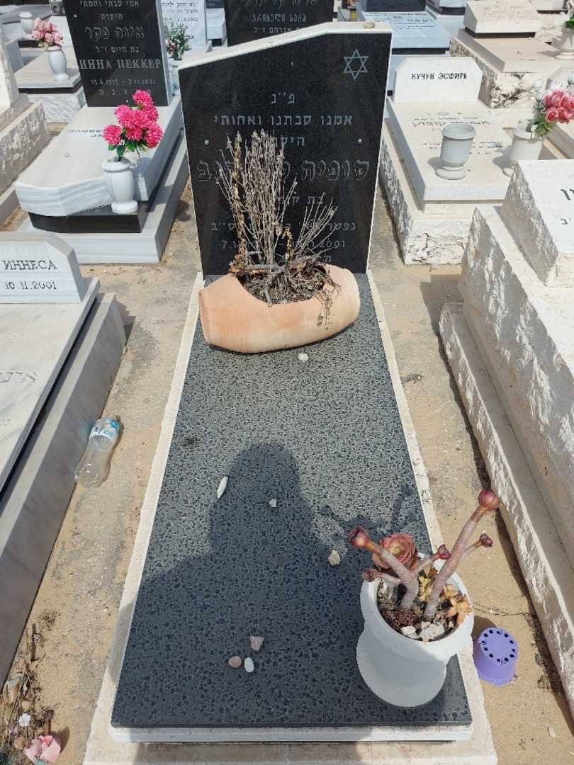 קברו של סונה טרסקוב. תמונה 1