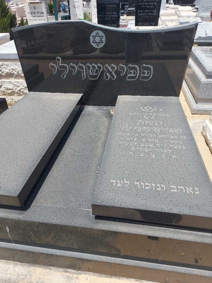 קברו של משה פפיאשוילי
