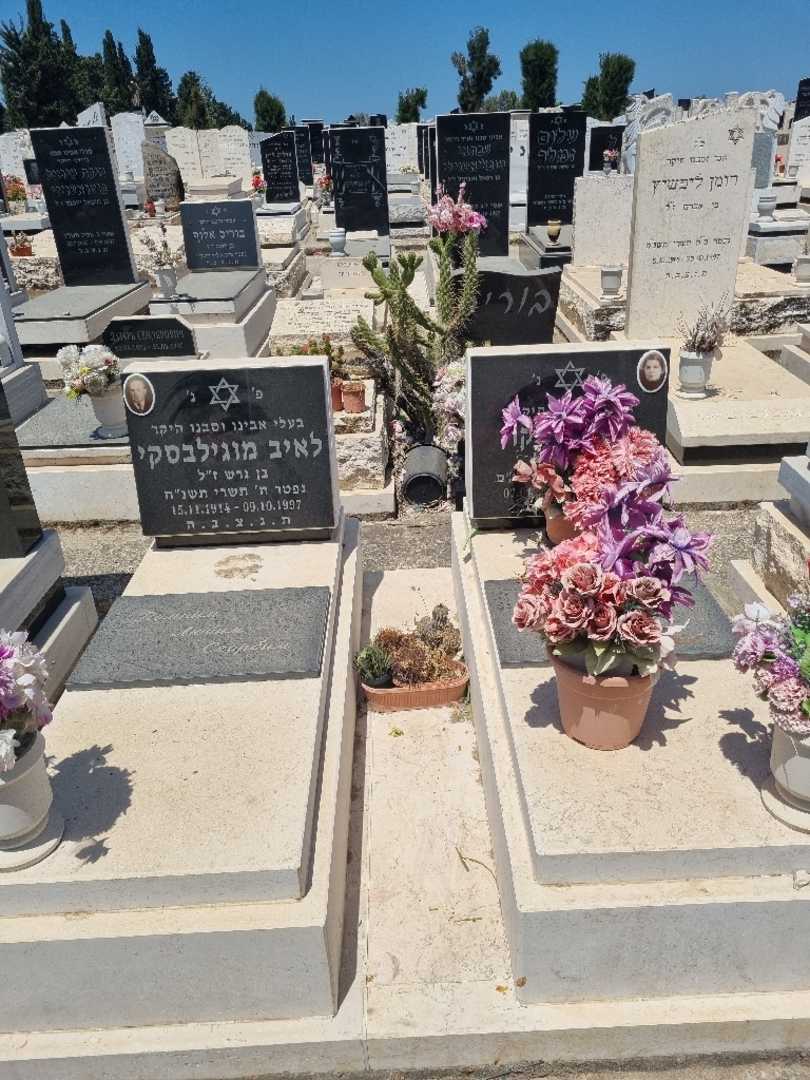 קברו של לאיב מוגילבסקי. תמונה 1