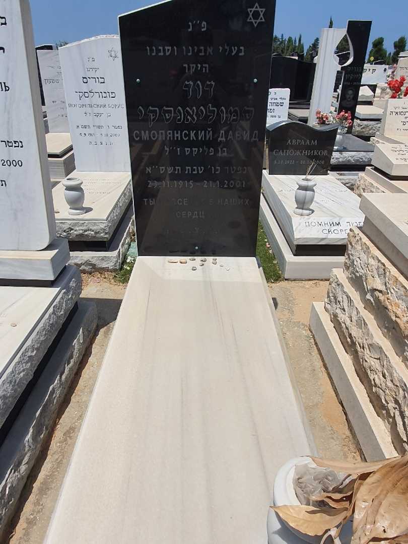 קברו של דוד סמוליאנסקי