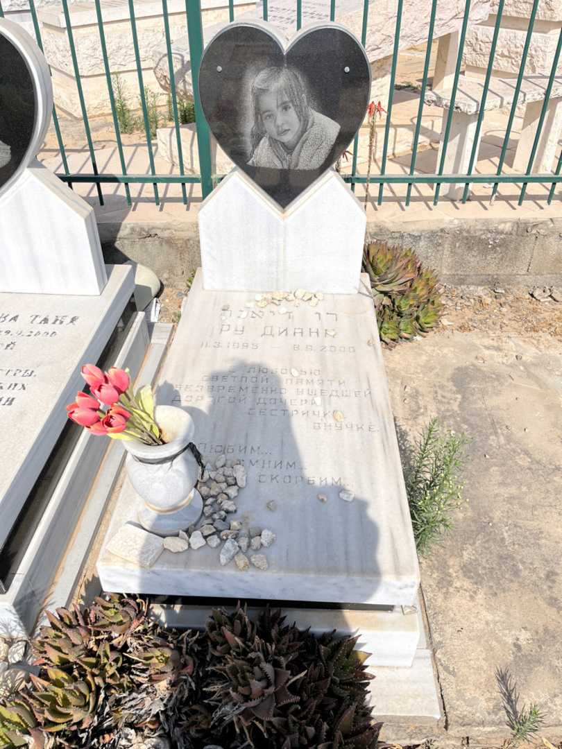 קברו של דיאנה רו