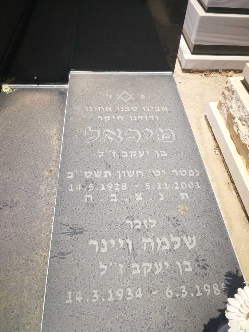 קברו של מיכאל ויינר. תמונה 2