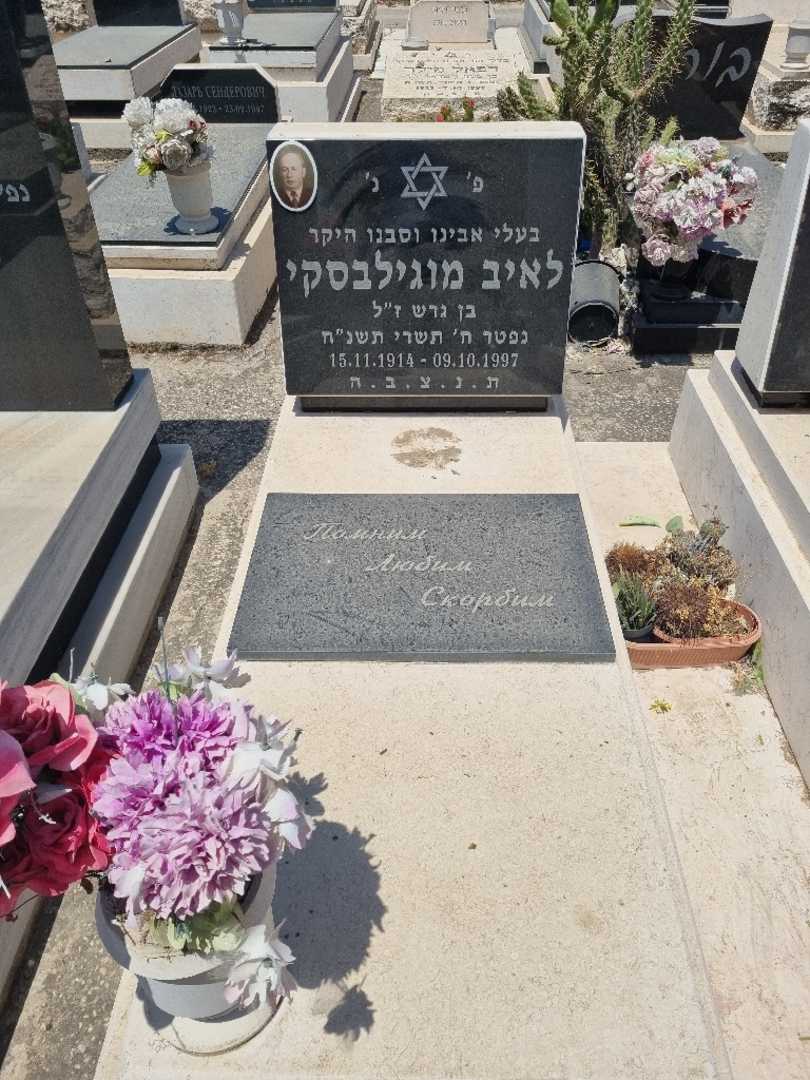 קברו של לאיב מוגילבסקי. תמונה 2