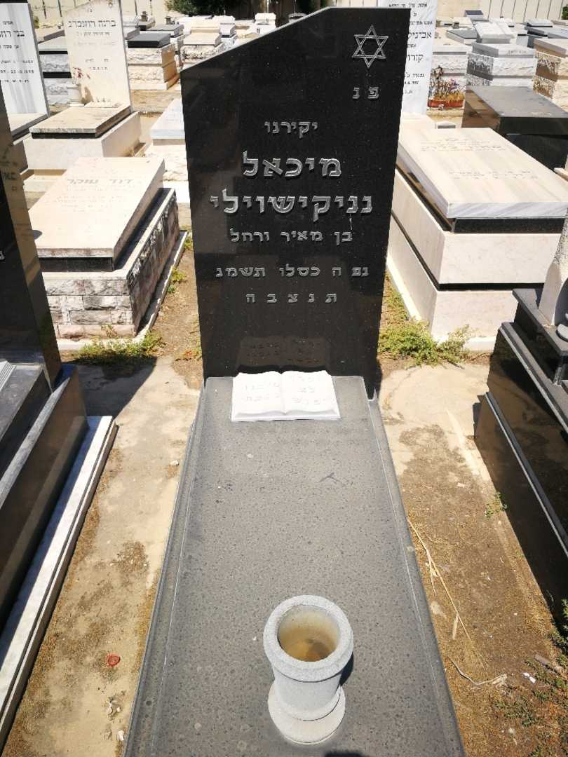 קברו של מיכאל נניקאשוילי