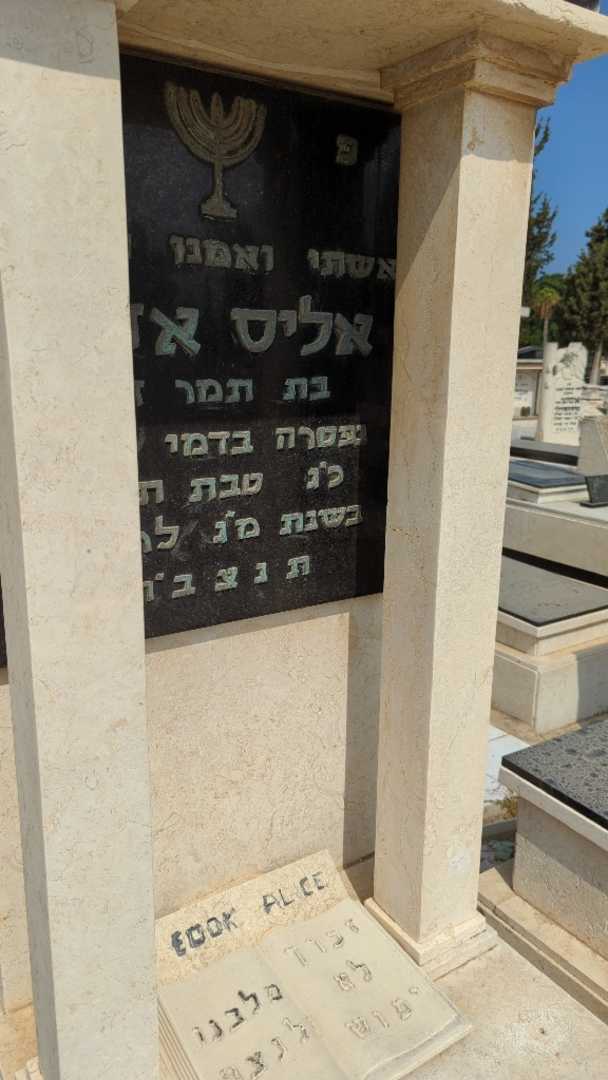 קברו של אליס אדוק. תמונה 5