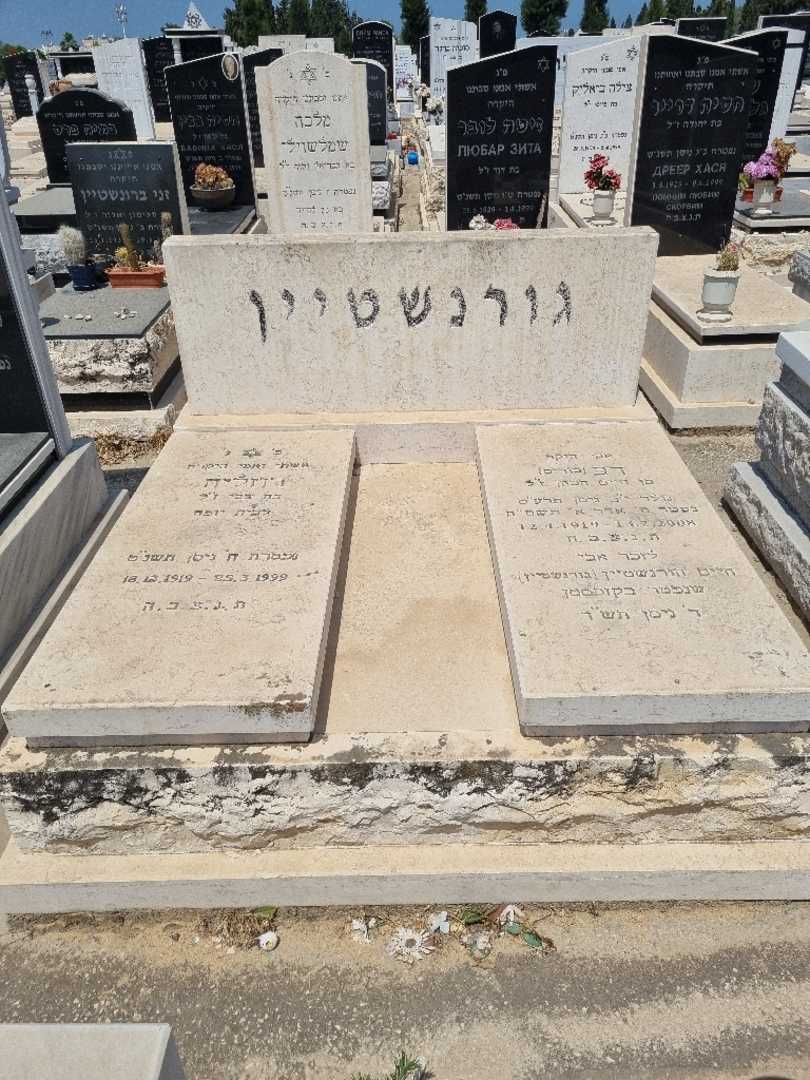 קברו של בוריס "בוריס" גורנשטיין. תמונה 1