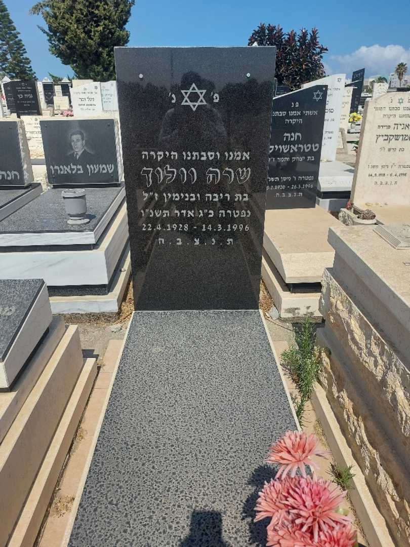 קברו של שרה וולוך