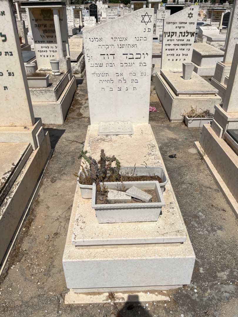 קברו של דוד יוכבד