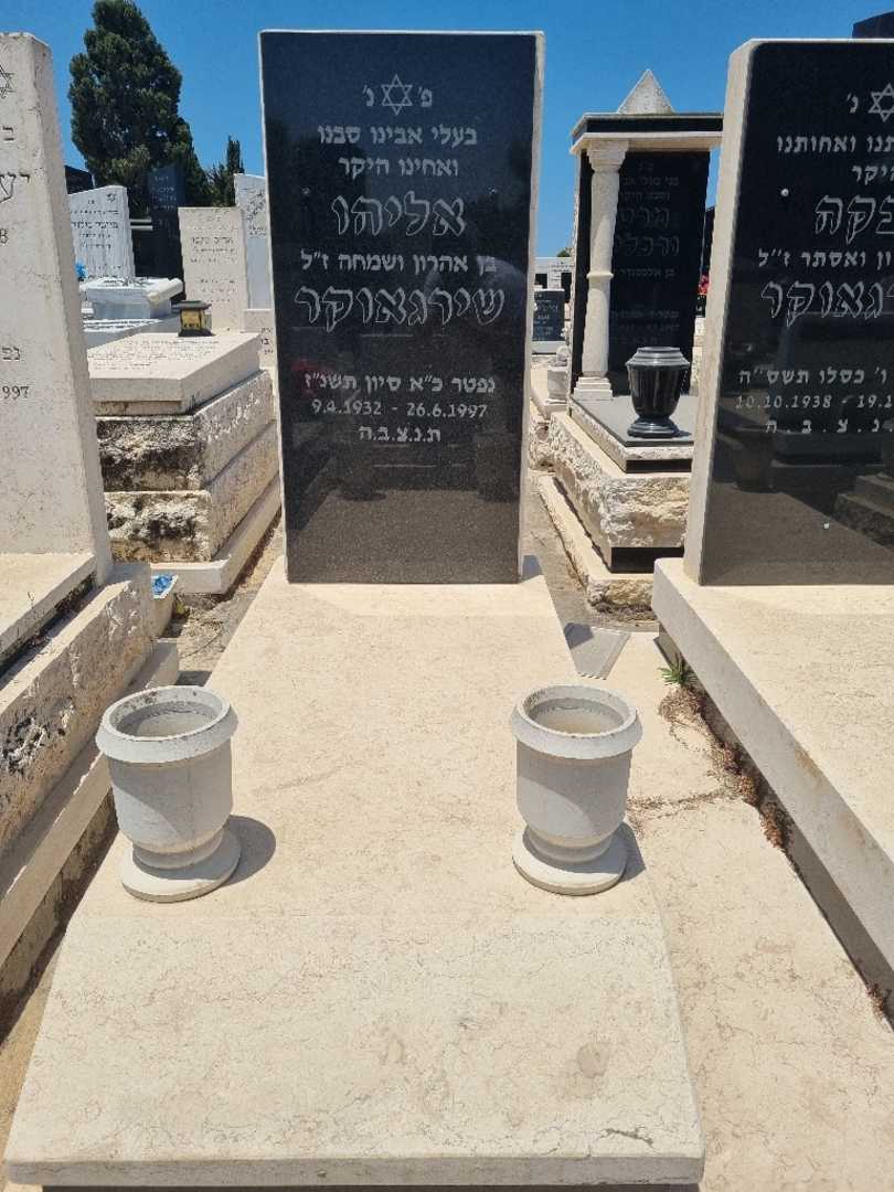 קברו של אליס שירגאוקר. תמונה 2