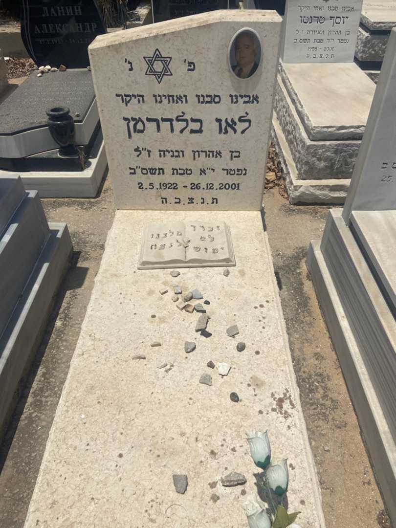 קברו של לאו בלדרמן