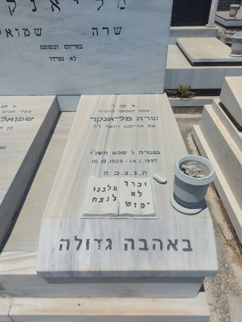 קברו של שרה מליאנקר. תמונה 1