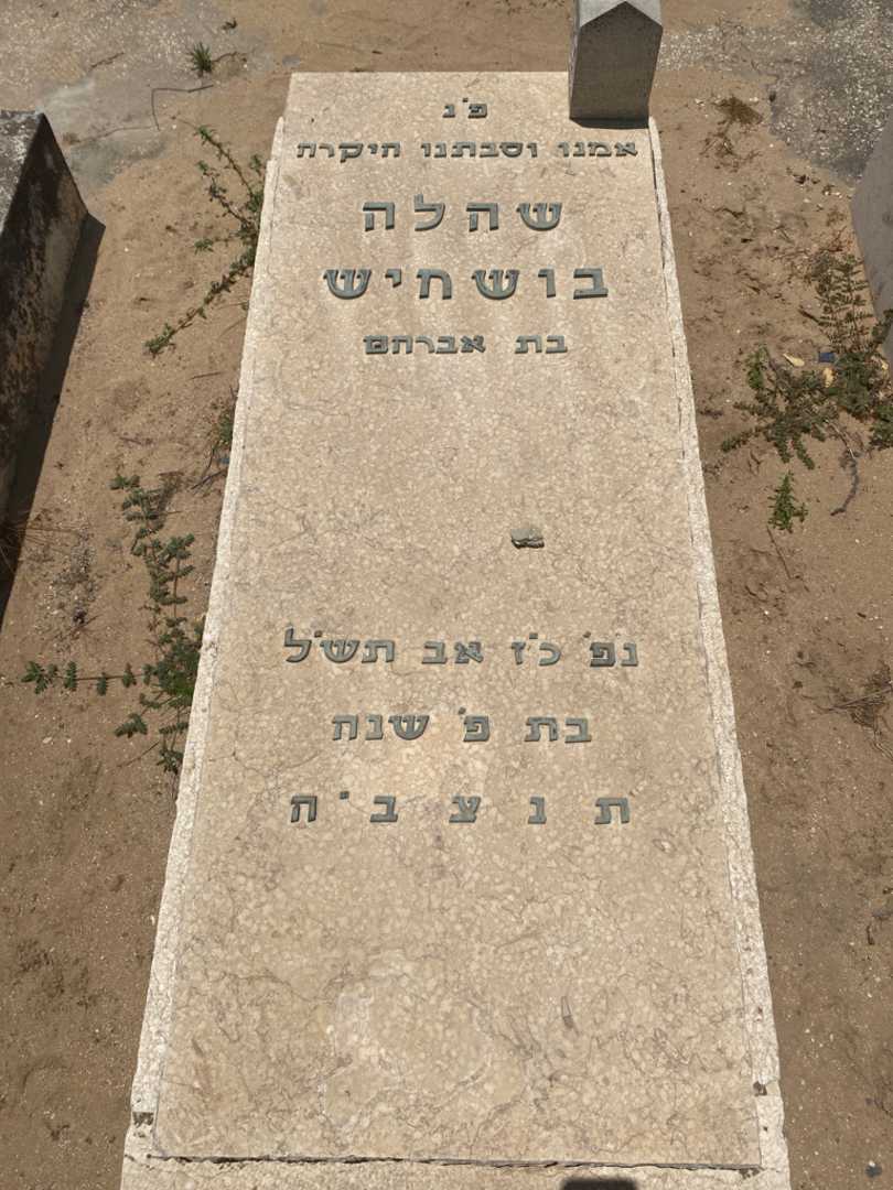 קברו של שהלה מושחיש )מימון(