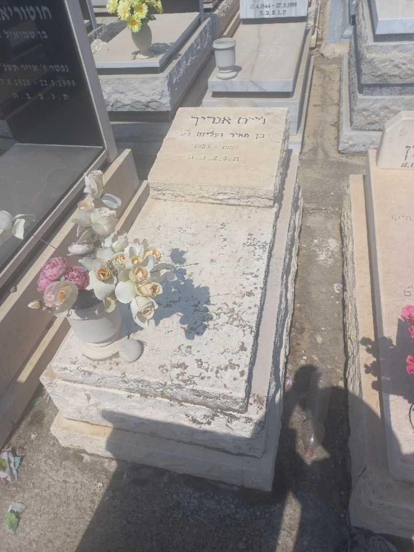 קברו של אנריך ויים