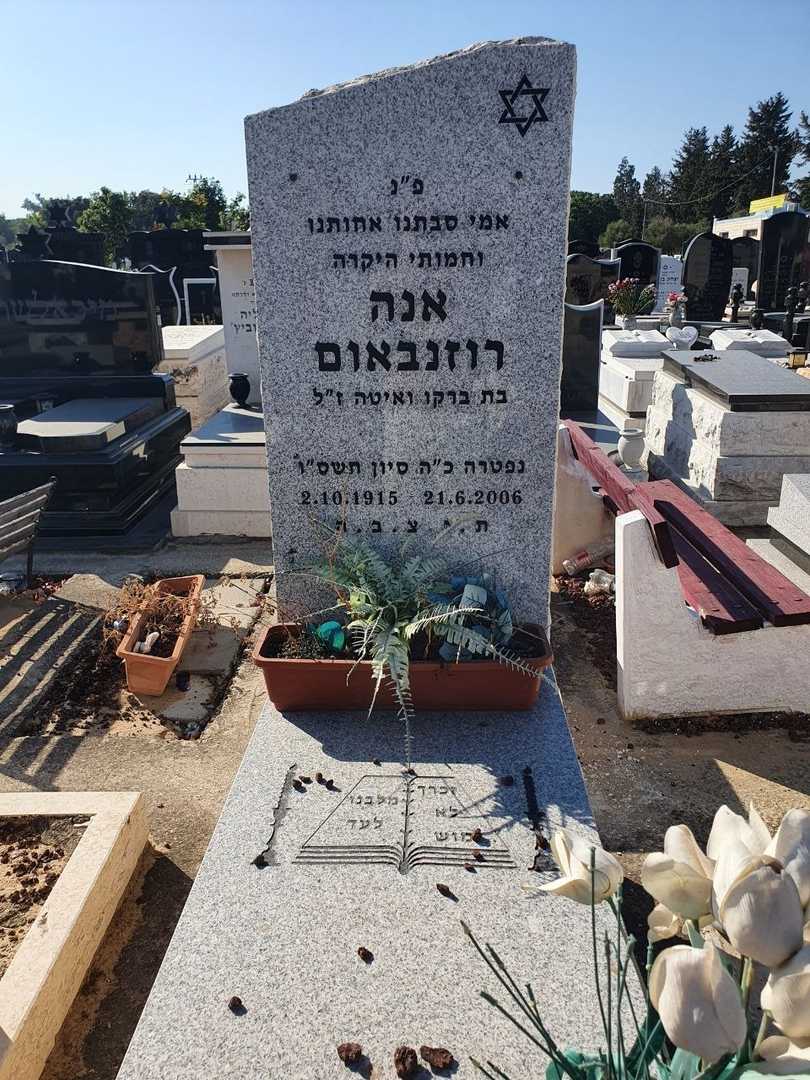 קברו של אנא רוזנבאום. תמונה 2