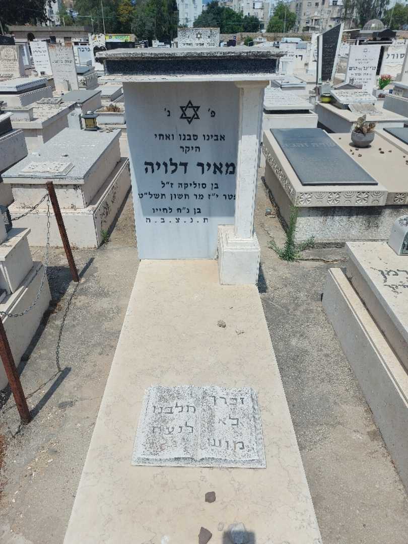 קברו של מאיר דלויה. תמונה 1