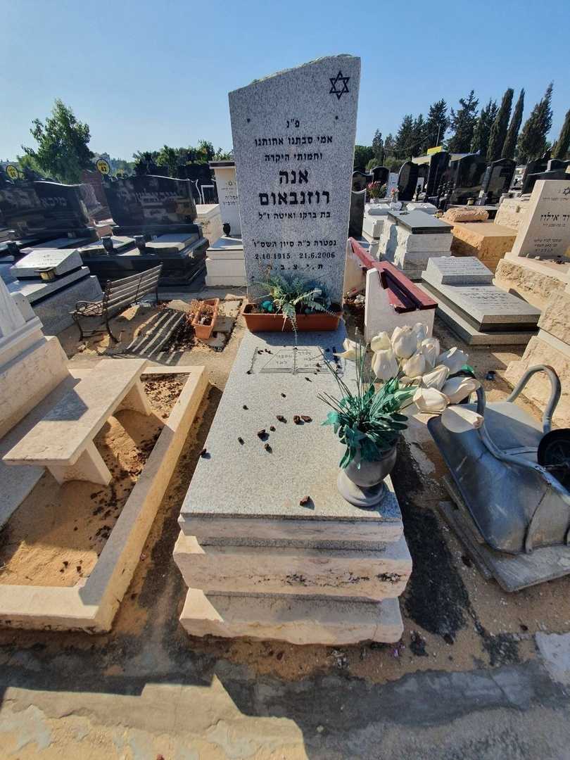 קברו של אנא רוזנבאום. תמונה 1