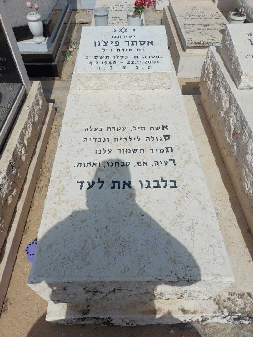 קברו של אסתר פיצ'ון. תמונה 1