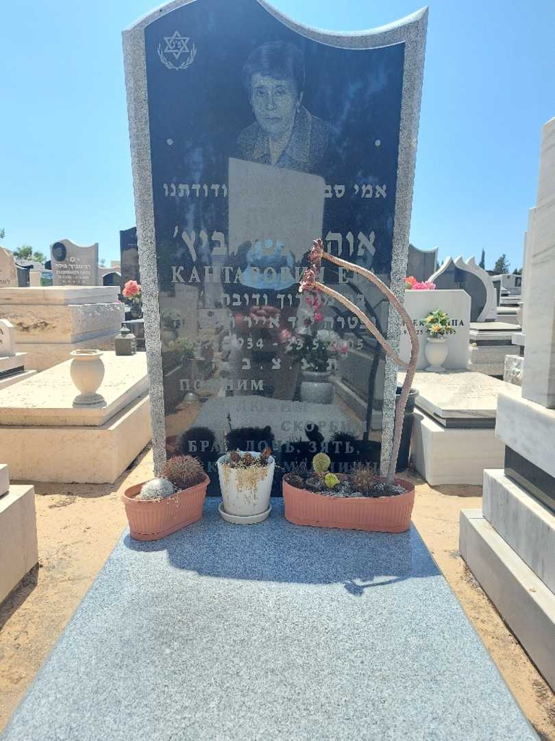 קברו של אוה קנטרוביץ'