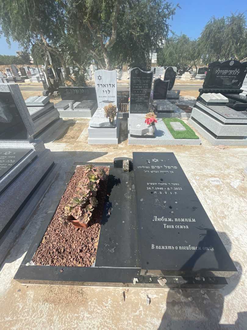 קברו של פרפל "פיליה" יפים. תמונה 1