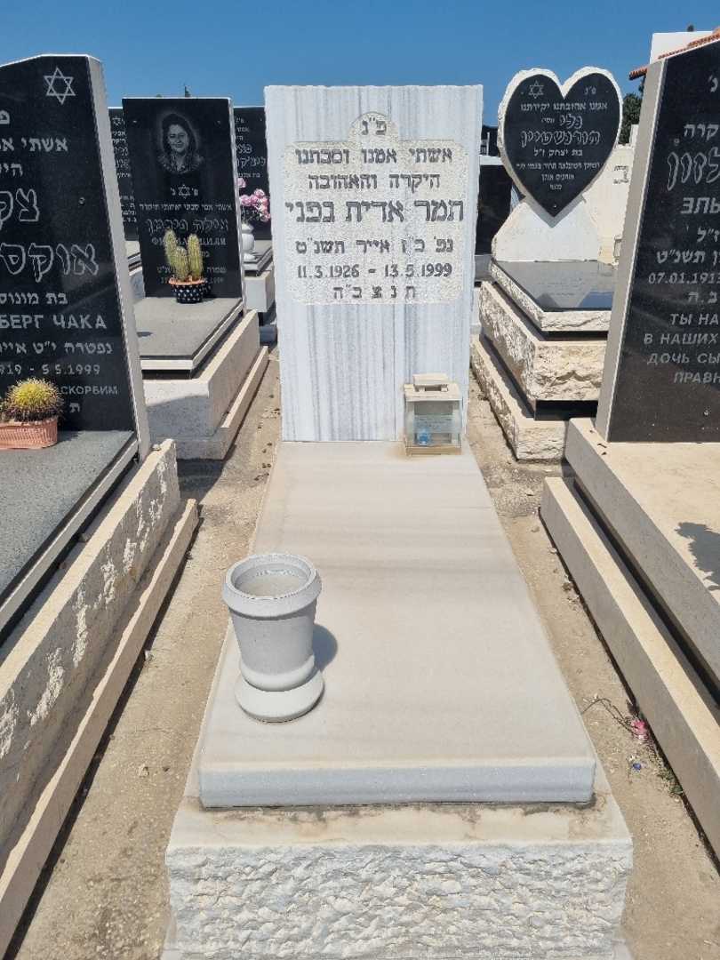 קברו של תמר גפני