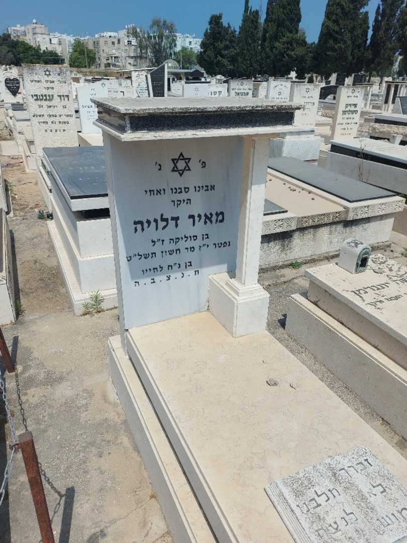 קברו של מאיר דלויה. תמונה 2
