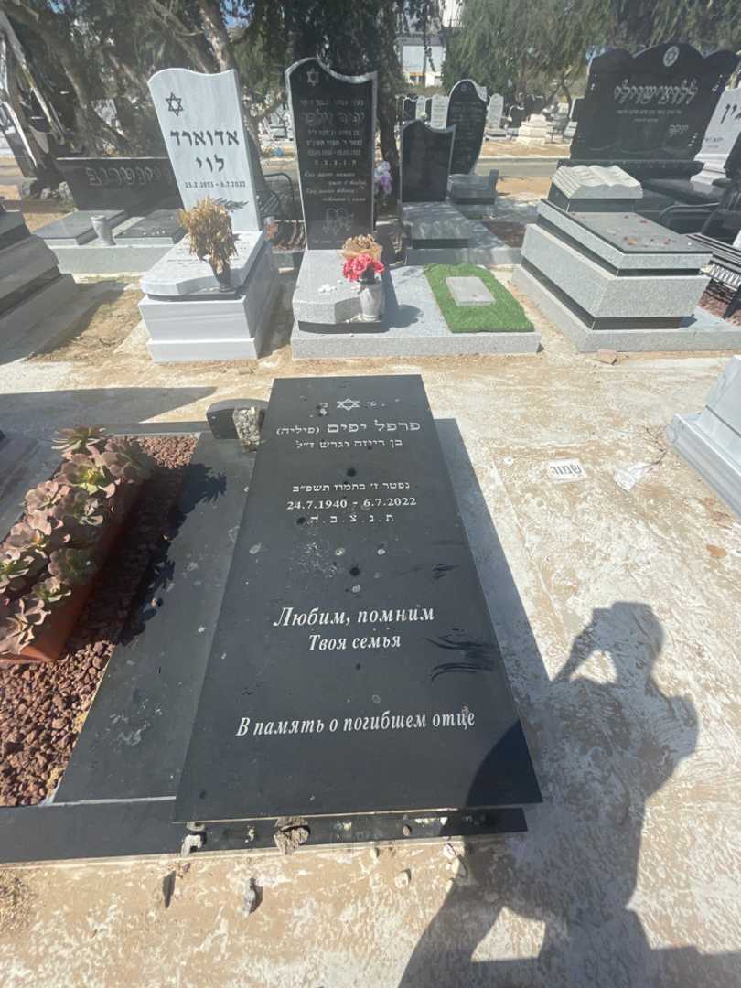 קברו של פרפל "פיליה" יפים. תמונה 2