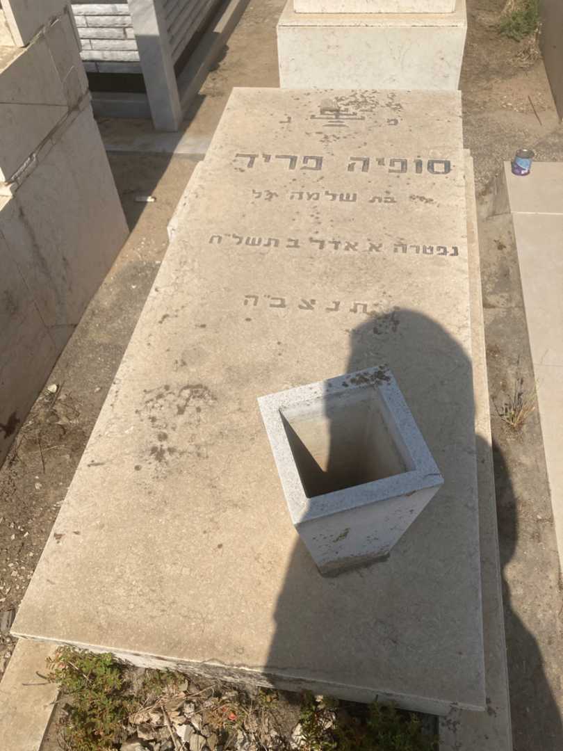 קברו של סופיה פריד