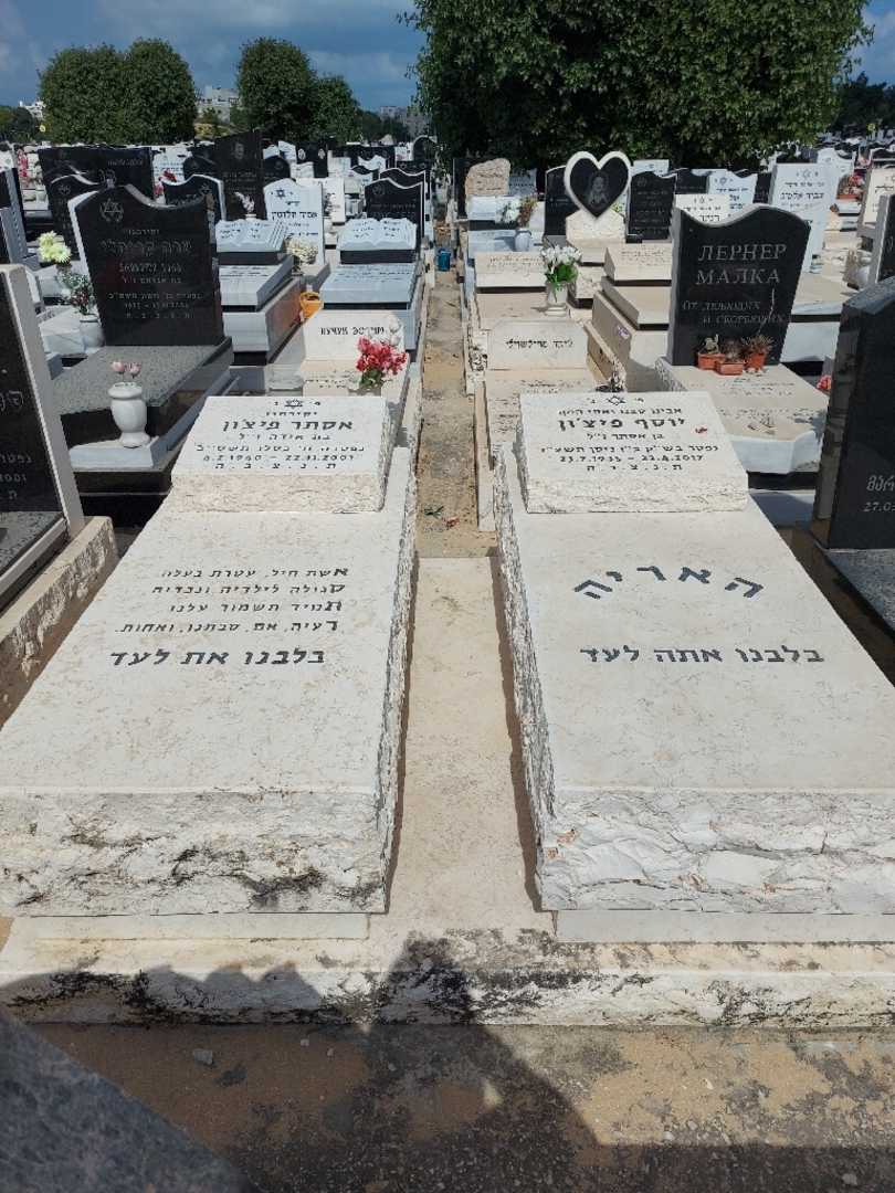 קברו של אסתר פיצ'ון. תמונה 2