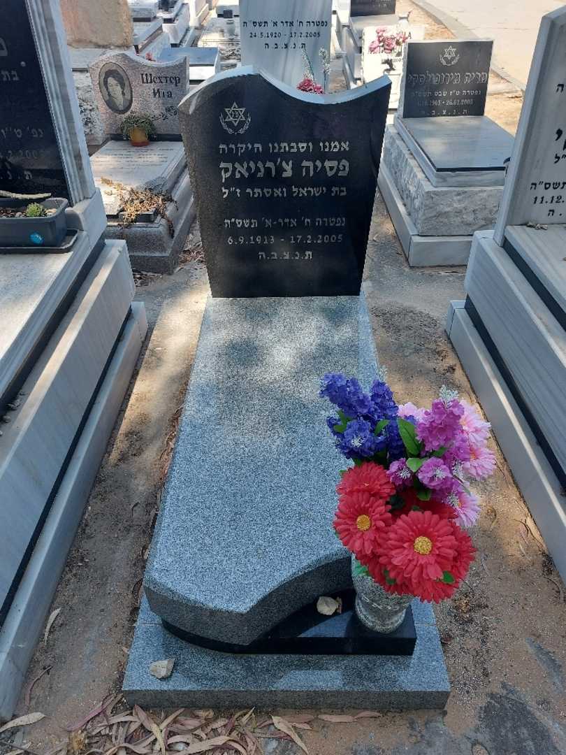 קברו של פסיה צינרייך