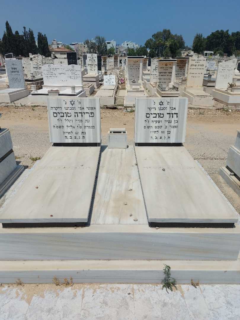 קברו של פרידה טוביס. תמונה 1