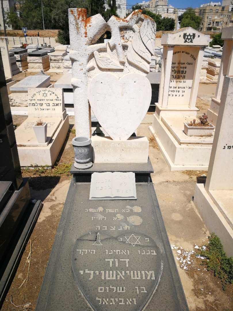 קברו של דוד מושיאשוילי