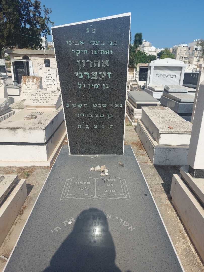קברו של אהרן זעפרני