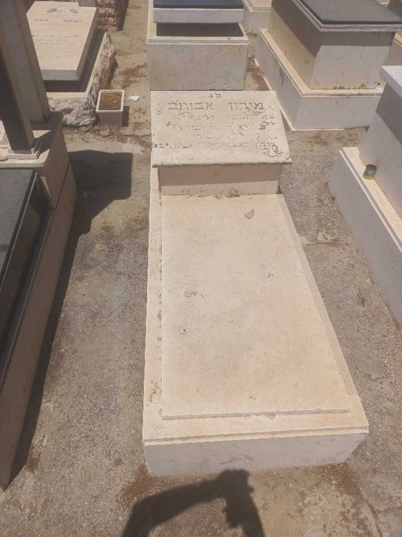 קברו של מירון אבוגוב