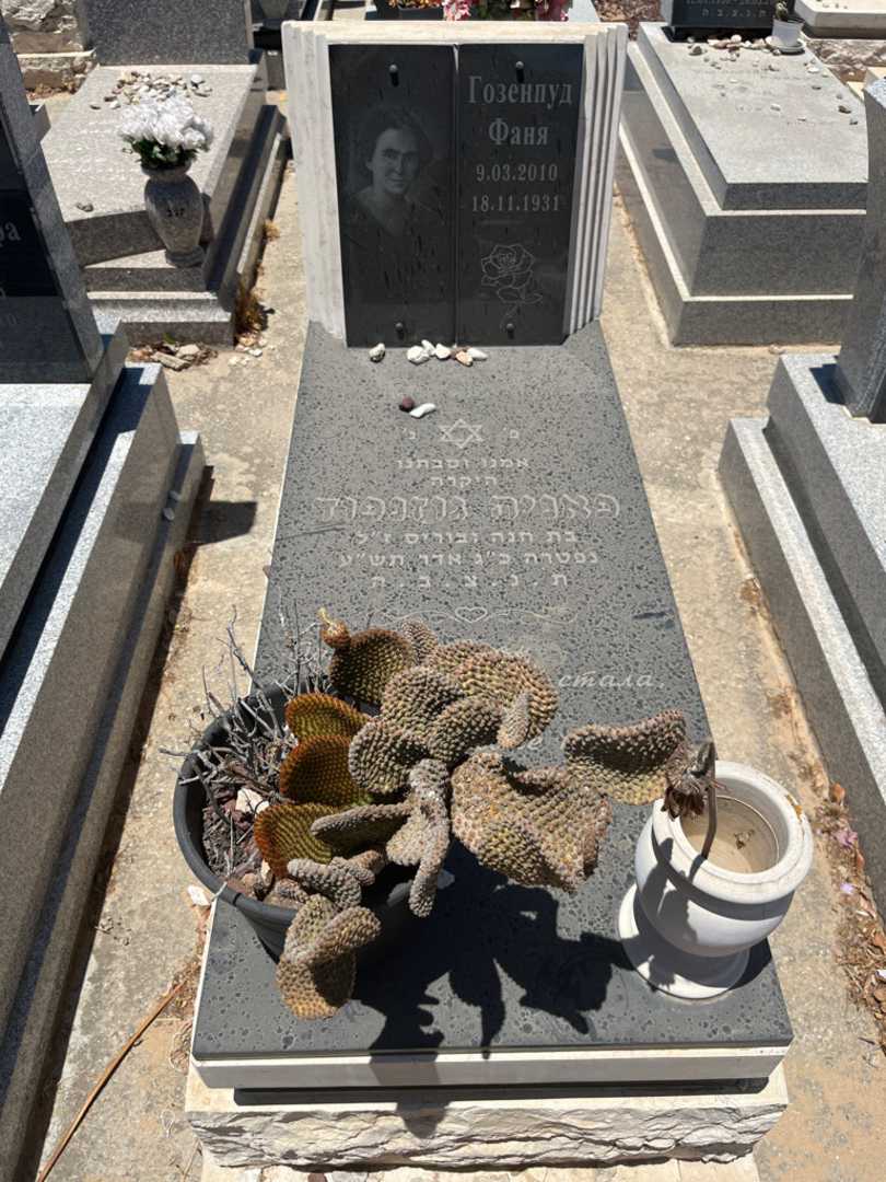 קברו של פאניה גוזנפוד