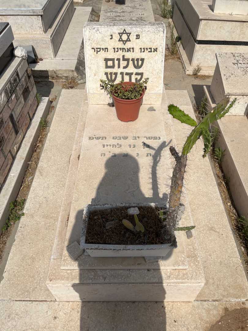 קברו של שלום קדוש