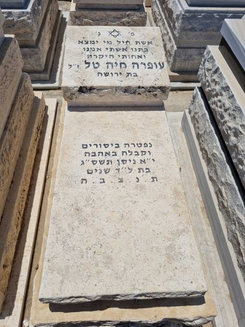 קברו של עופרה טל